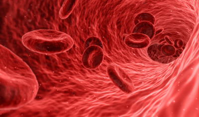 red cells flowing in a vein